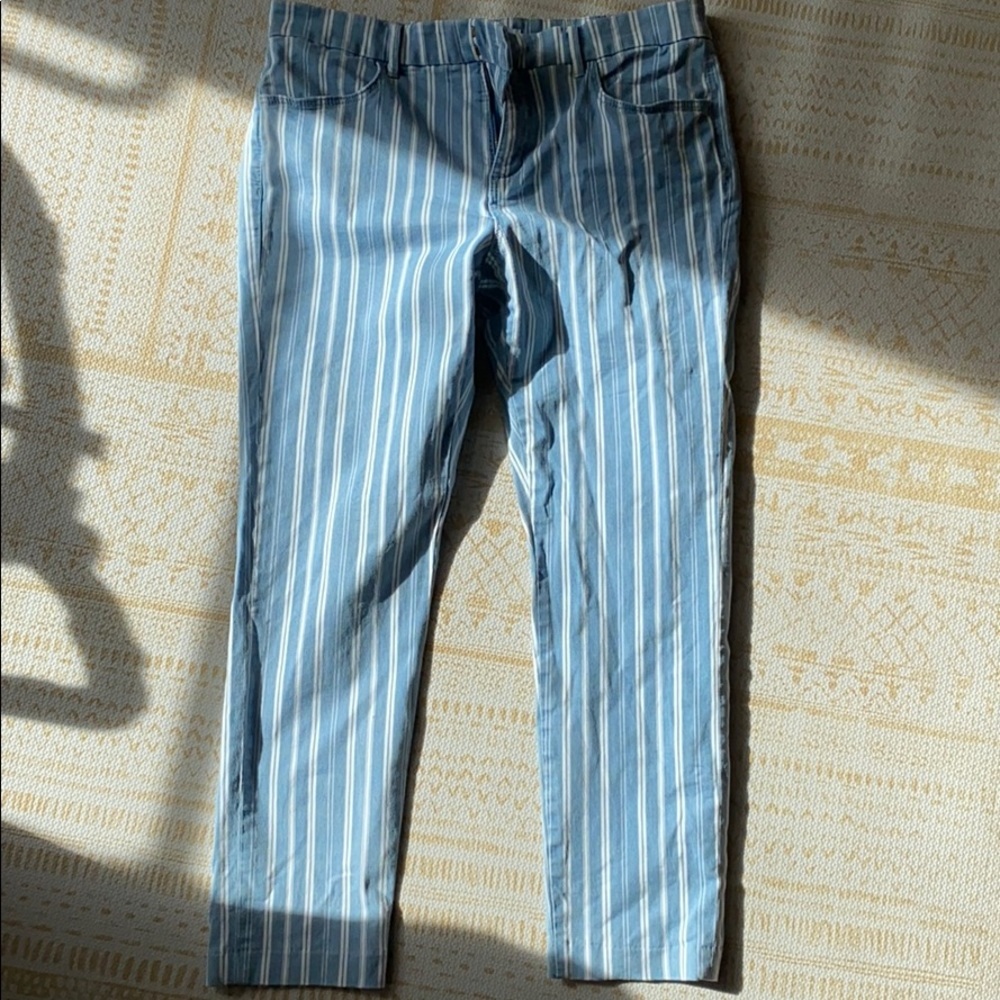 Loft Striped Pants